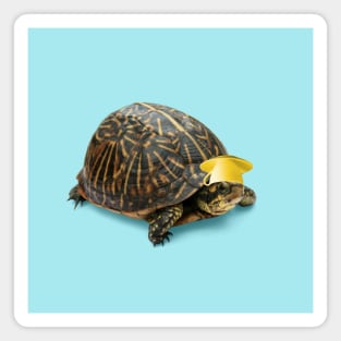 Turtle with nice cup hat Magnet
